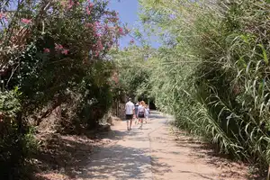 2026-06-07 - Naxos, Greece - IMG_0872.webp